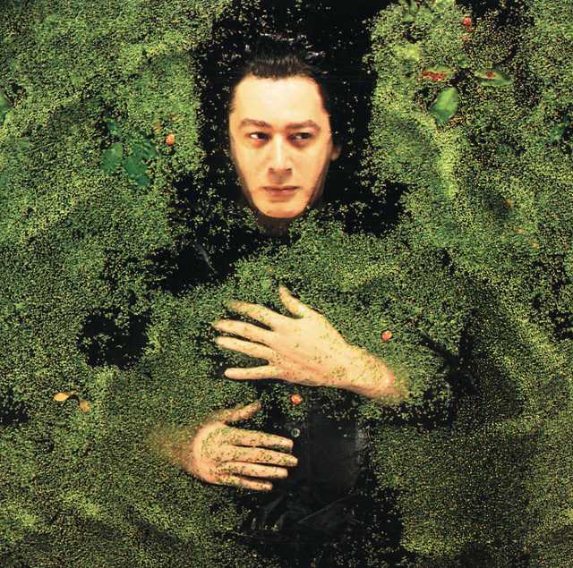 Accords et paroles L'apiculteur Alain Bashung