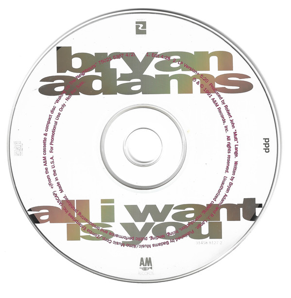 Accords et paroles All I Want Is You Bryan Adams