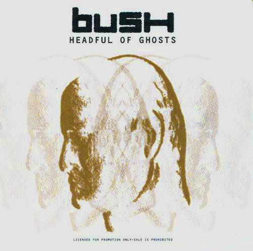 Accords et paroles Headful of Ghosts Bush