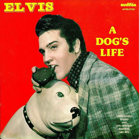 Accords et paroles A Dogs Life Elvis Presley
