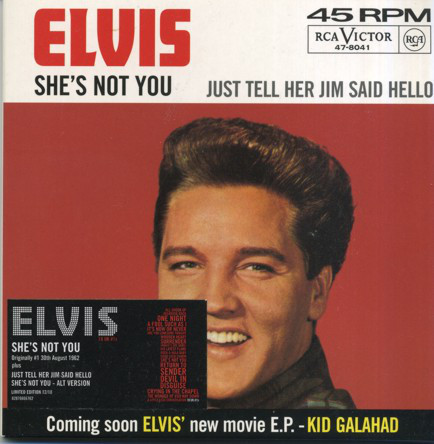 Accords et paroles She's Not You Elvis Presley