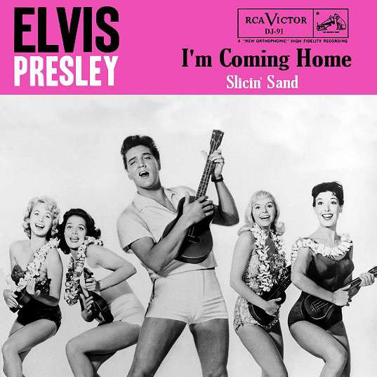 Accords et paroles Slicin Sand Elvis Presley