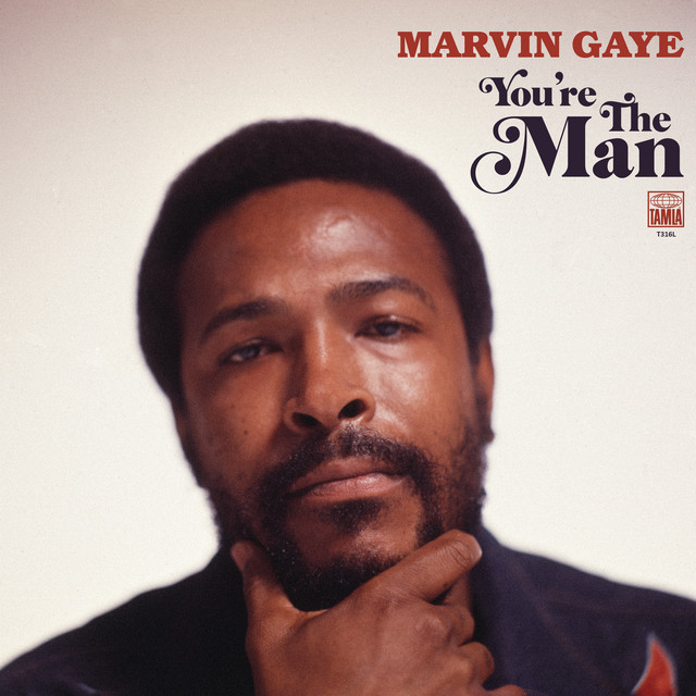 Accords et paroles You Are That Special One Marvin Gaye