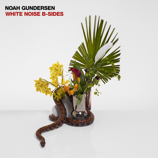 Accords et paroles Some Nights Noah Gundersen