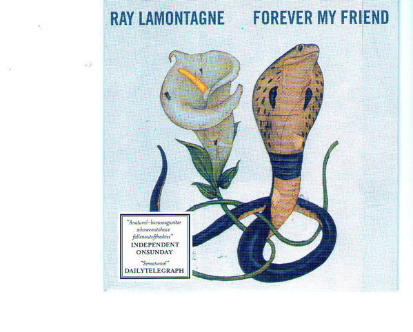 Accords et paroles Forever My Friend Ray LaMontagne