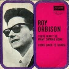 Accords et paroles There Won't Be Many Coming Home Roy Orbison