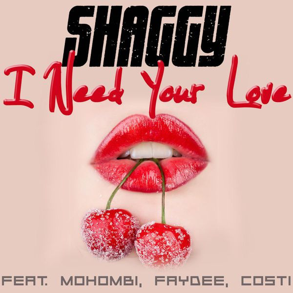 Accords et paroles I Need Your Love Shaggy