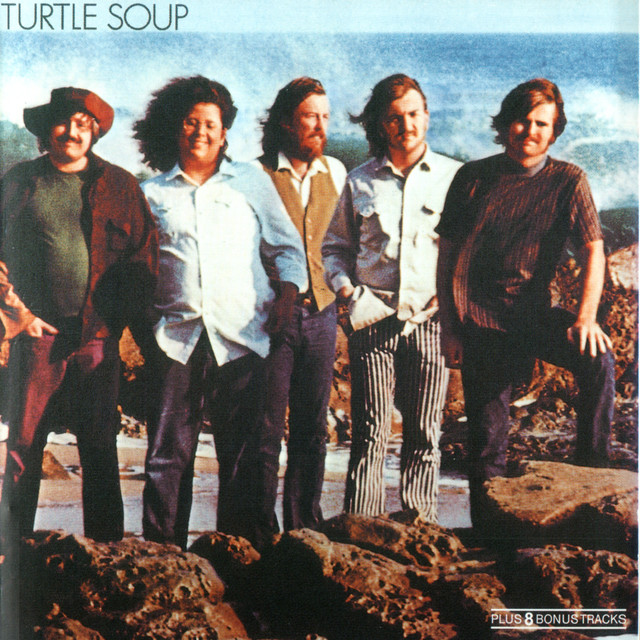 Accords et paroles To See The Sun The Turtles