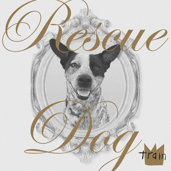 Accords et paroles Rescue Dog Train